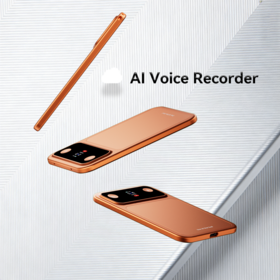 Portable Voice Recorder Translator