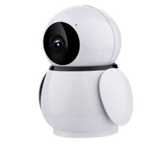 Surveillance Robots